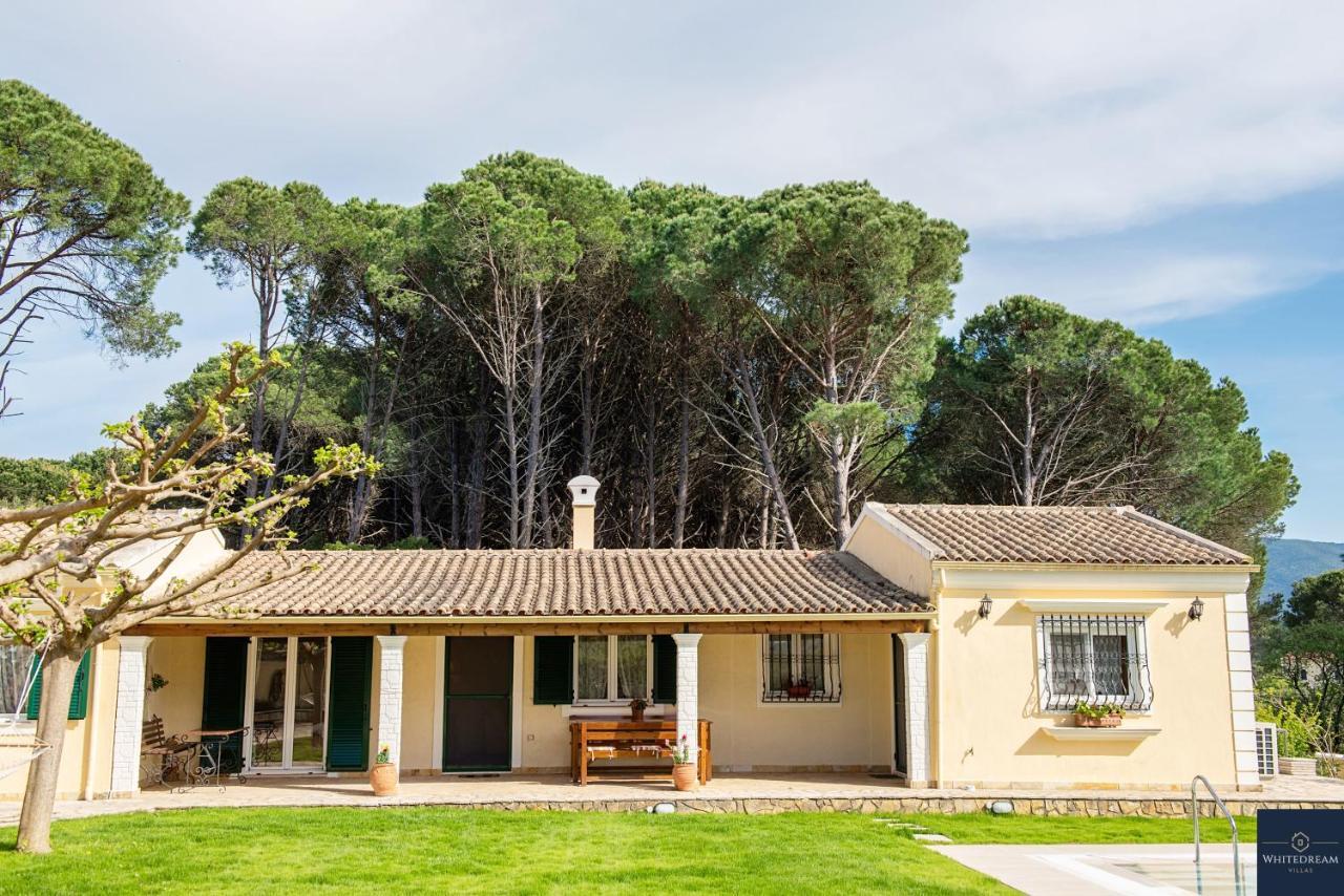 Villa Pine Forest Kompítsion
